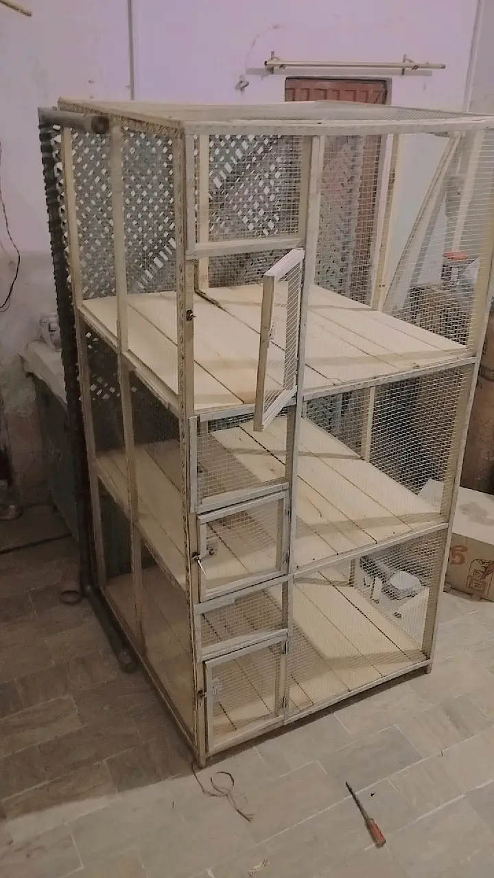Hen & bird cage for sale