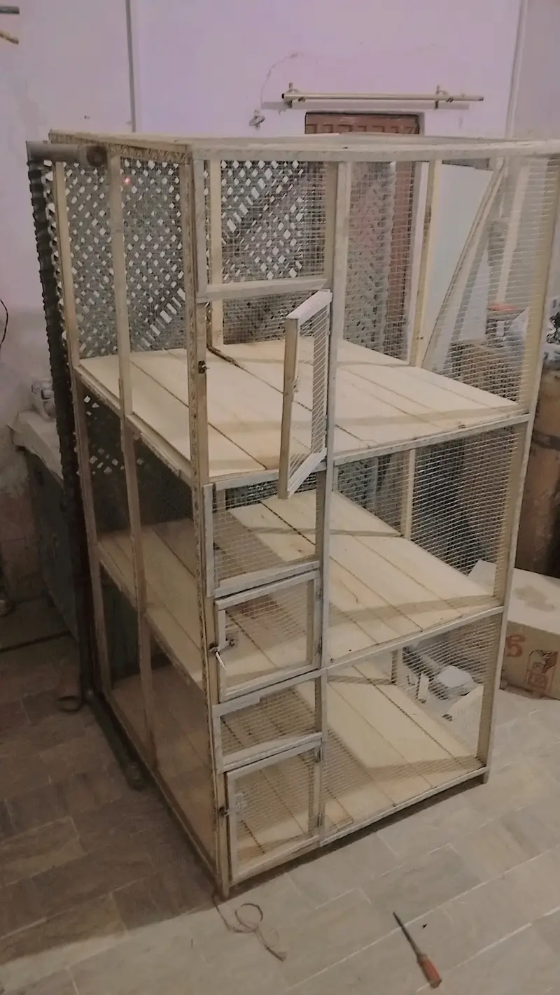 Hen & bird cage for sale — photo 2