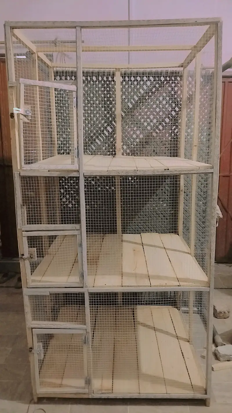 Hen & bird cage for sale — photo 3
