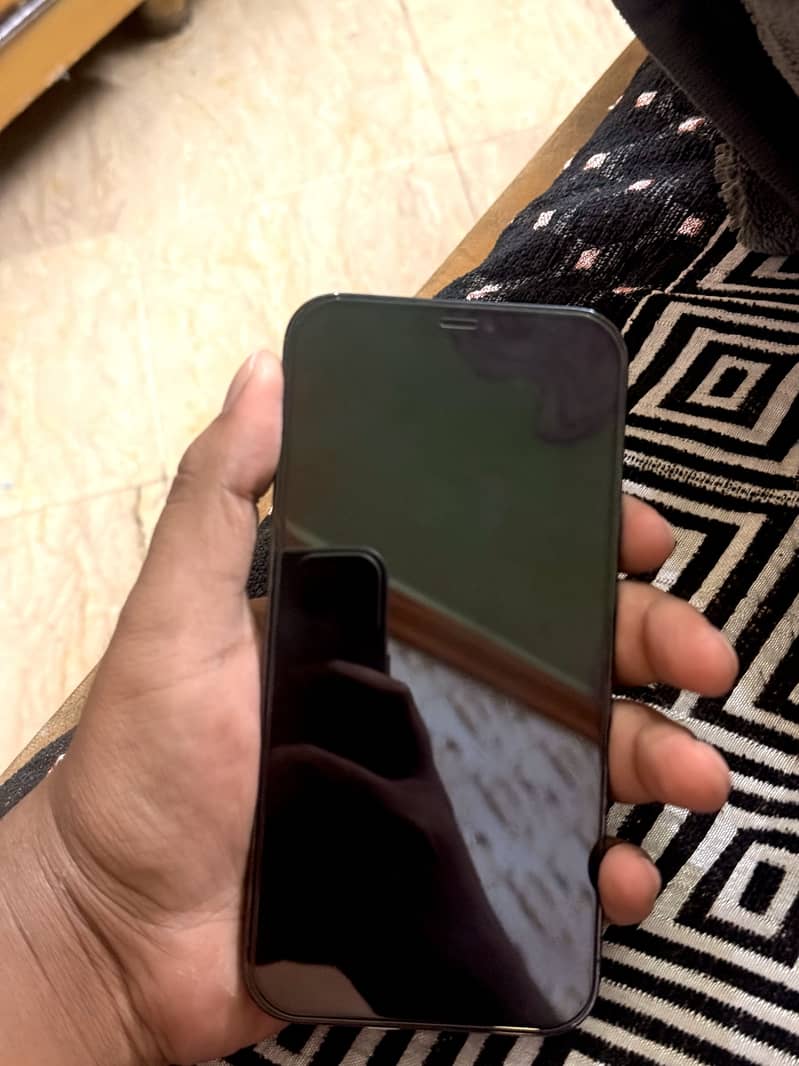 Apple iPhone 12 Pro Max 1