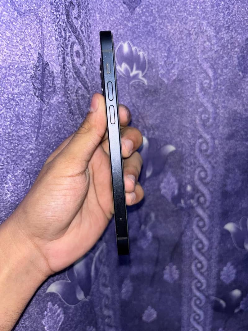 Apple iPhone 12 1