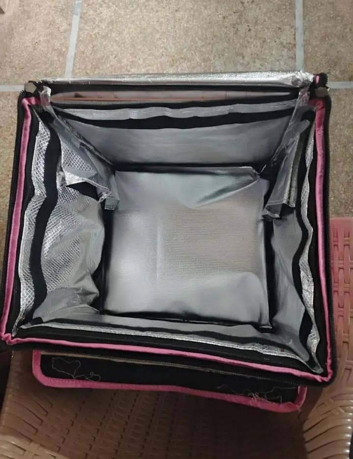 Fooapanda/Restaurant delivery bag 2