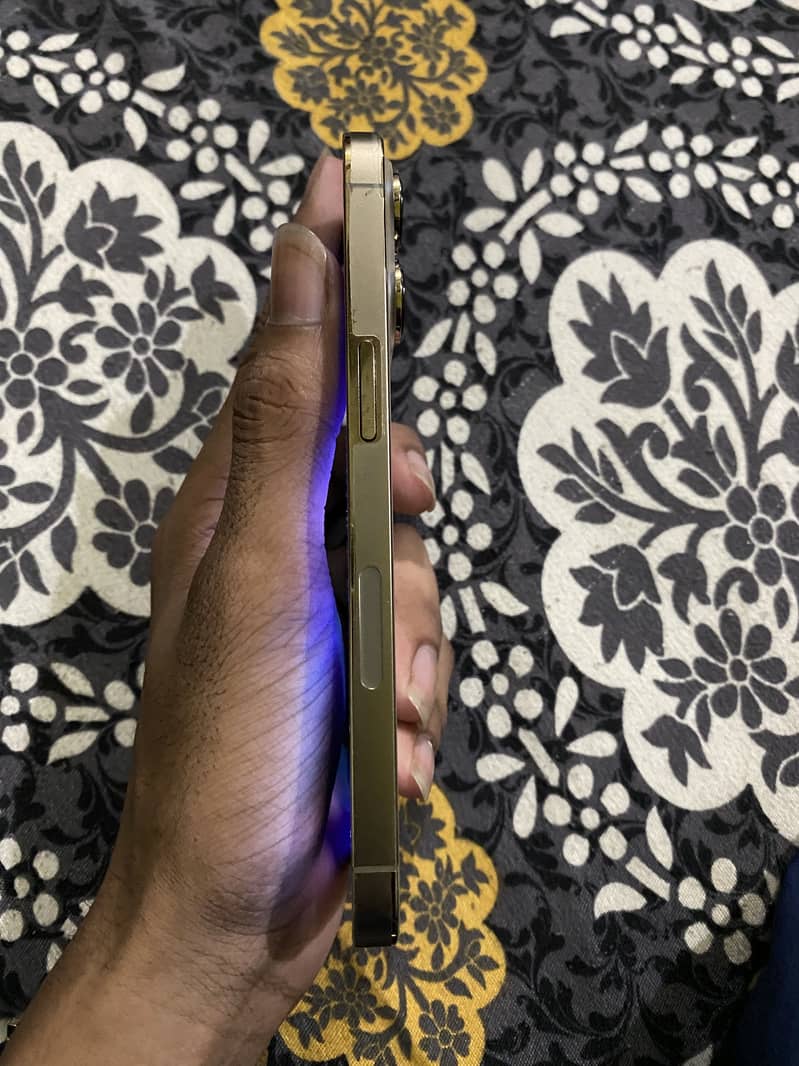 Apple iPhone 13 Pro 2