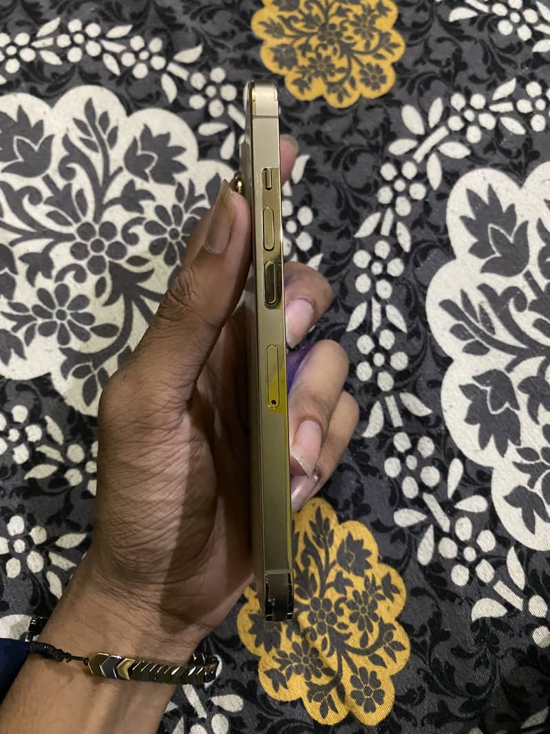 Apple iPhone 13 Pro 3