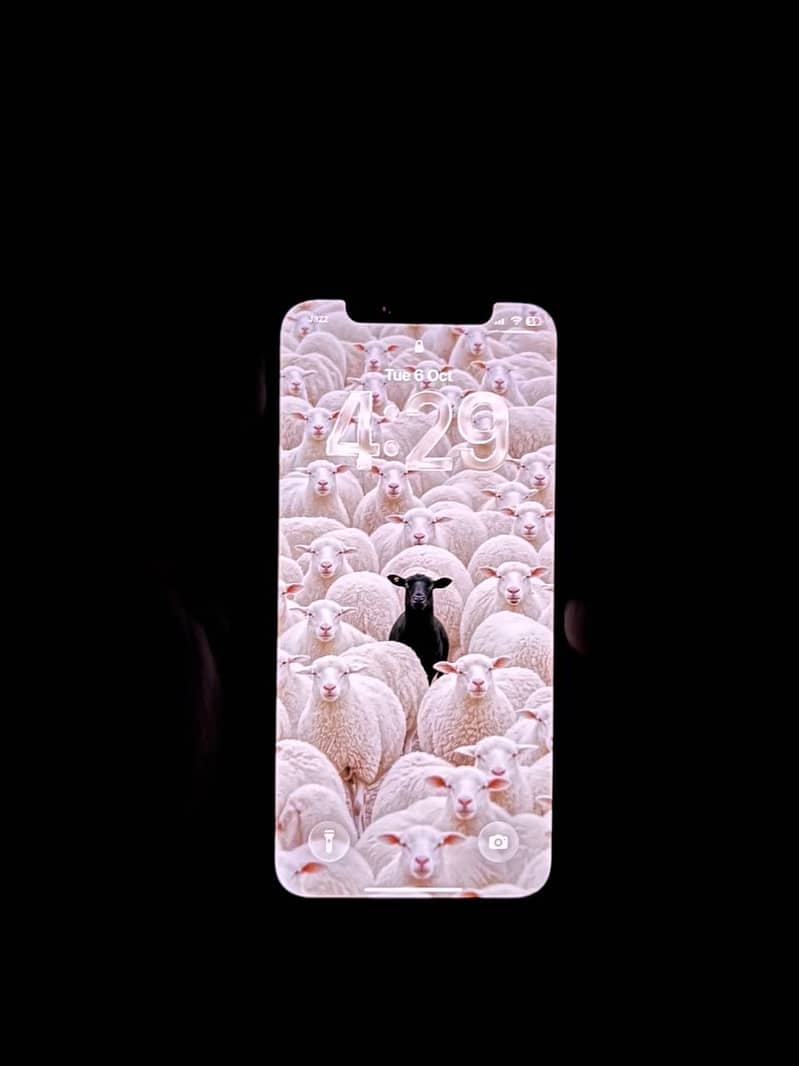 Apple iPhone 12 PTA 7