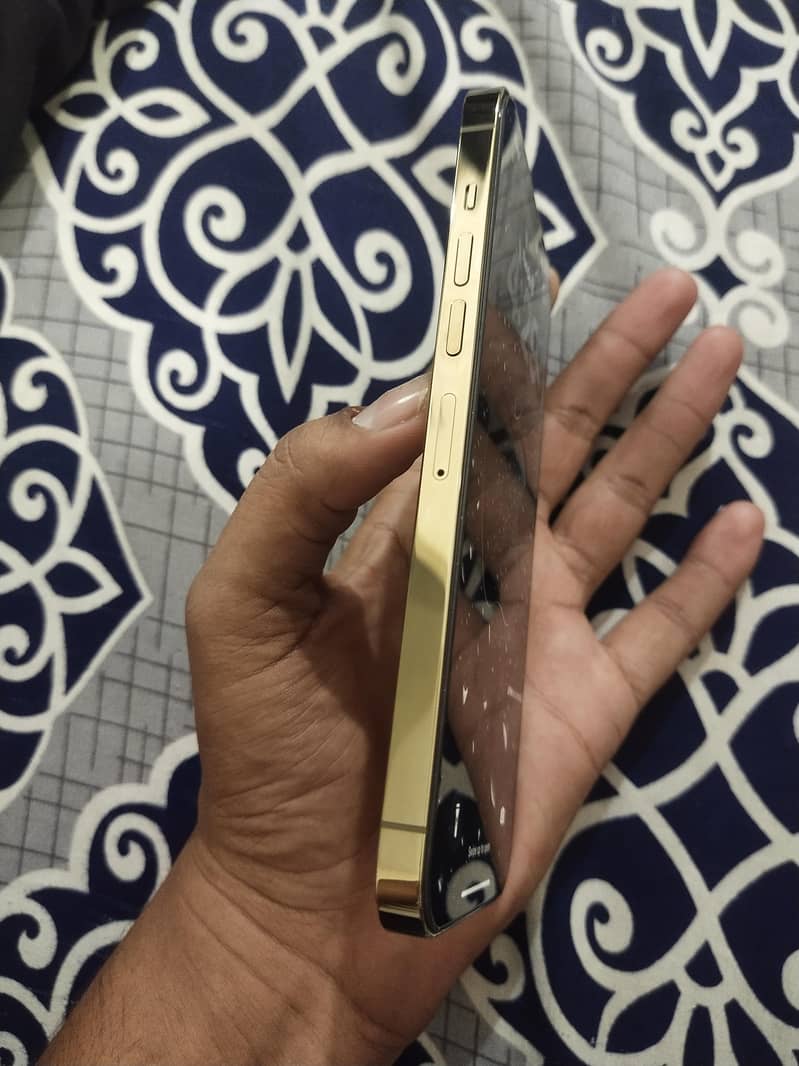 Apple iPhone 13 Pro Max 1