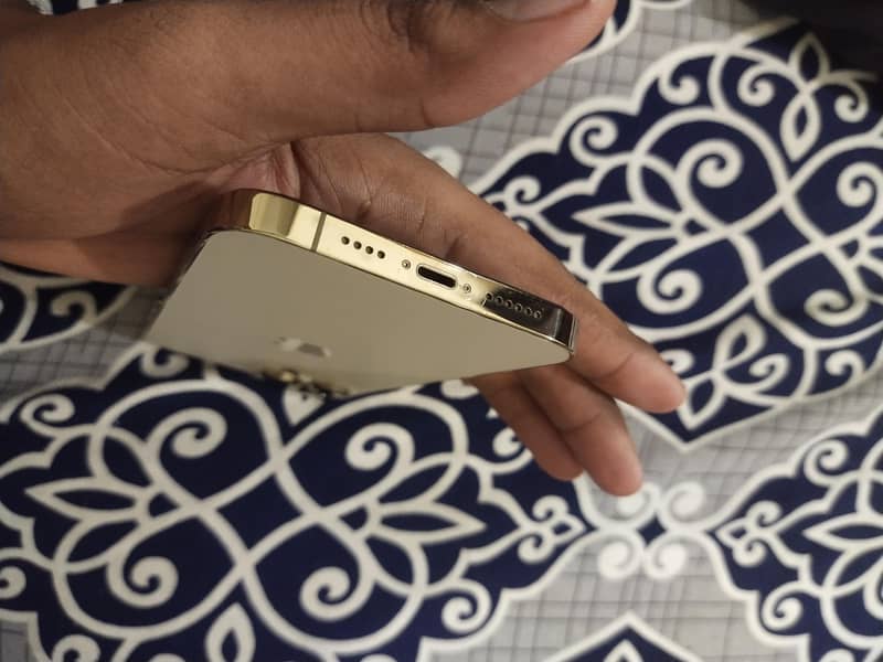 Apple iPhone 13 Pro Max 3