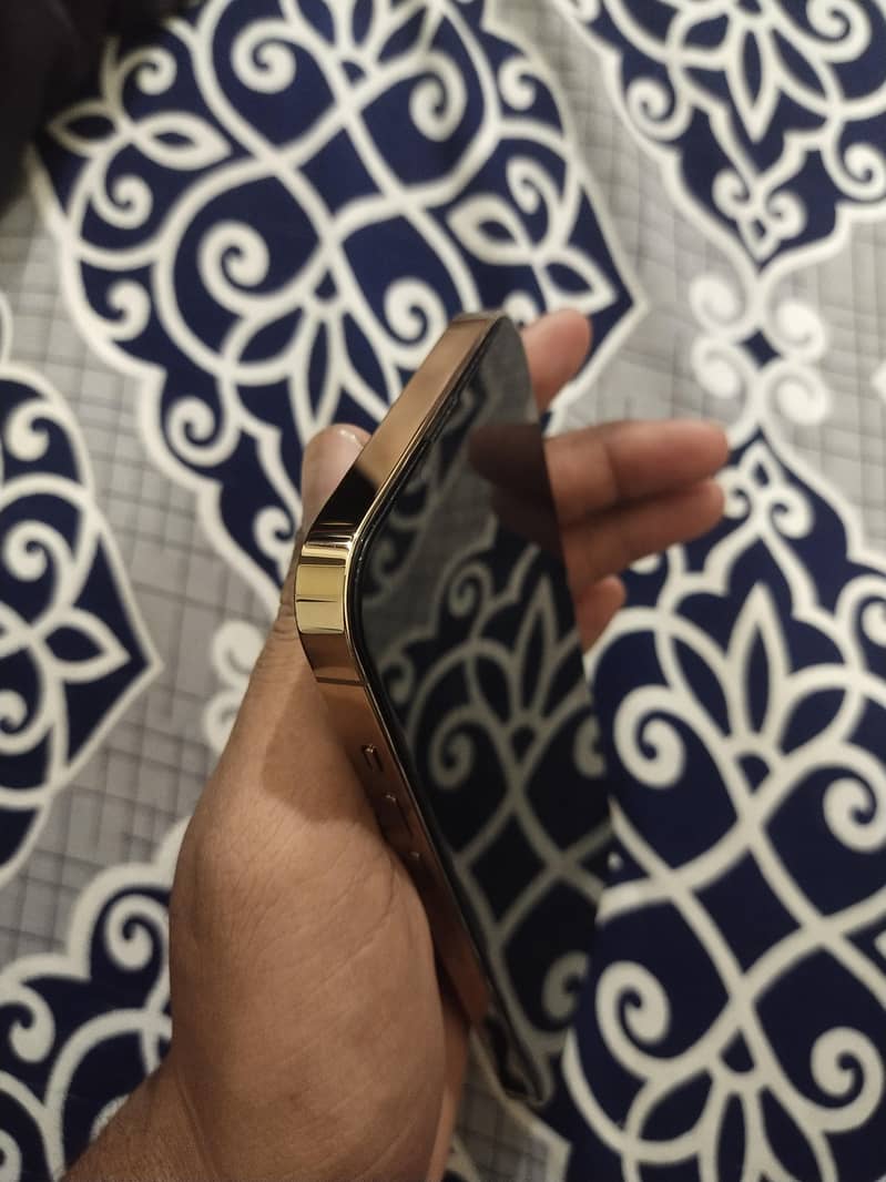 Apple iPhone 13 Pro Max 5