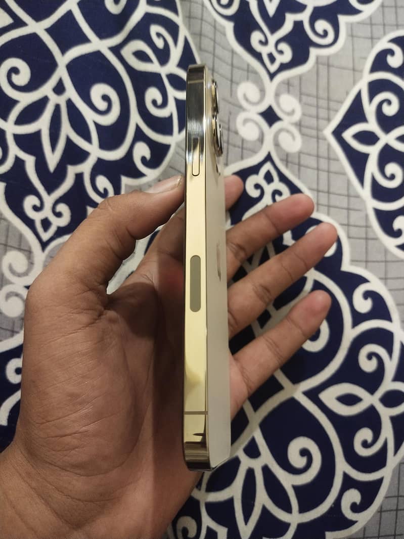 Apple iPhone 13 Pro Max 6
