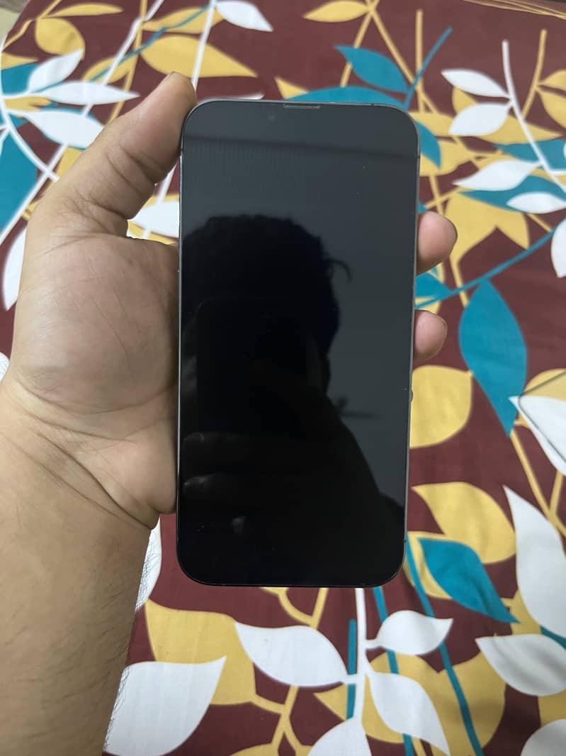 Apple iPhone 13 Pro Max 3
