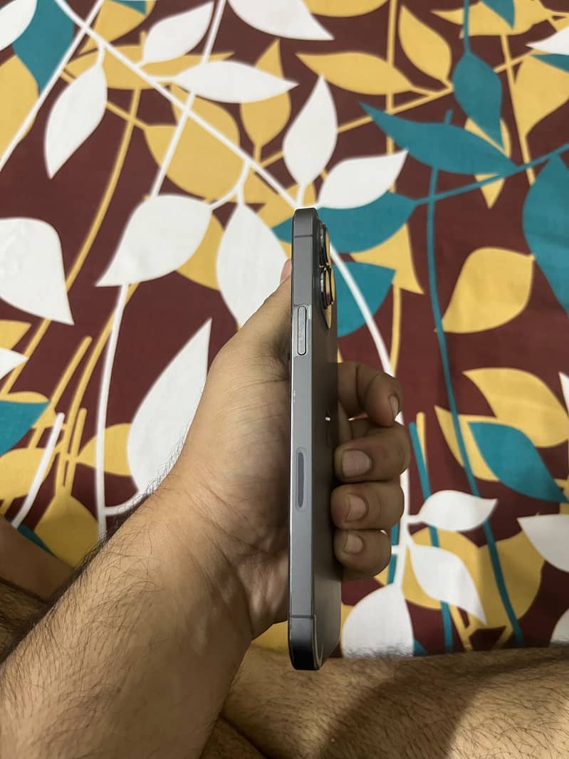 Apple iPhone 13 Pro Max 4