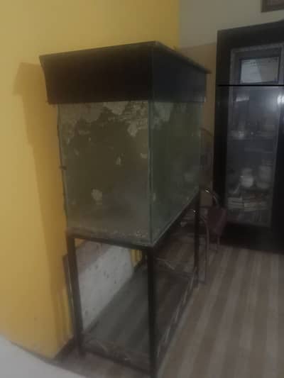 Urgent Sale: 2.5–3 Feet Aquarium Tank + Iron Stand + Wooden Hood