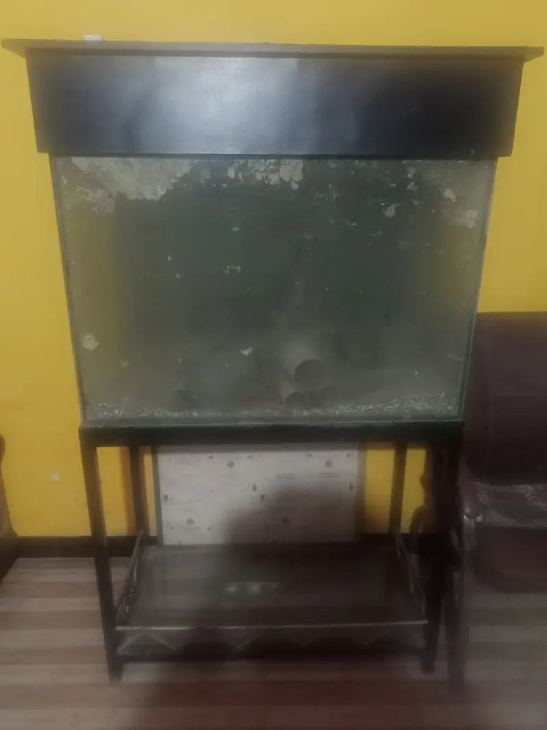 Urgent Sale: 2.5–3 Feet Aquarium Tank + Iron Stand + Wooden Hood — photo 2