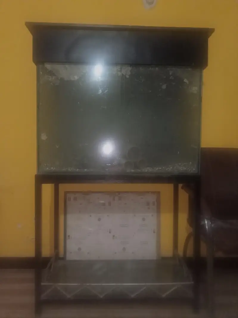 Urgent Sale: 2.5–3 Feet Aquarium Tank + Iron Stand + Wooden Hood — photo 4
