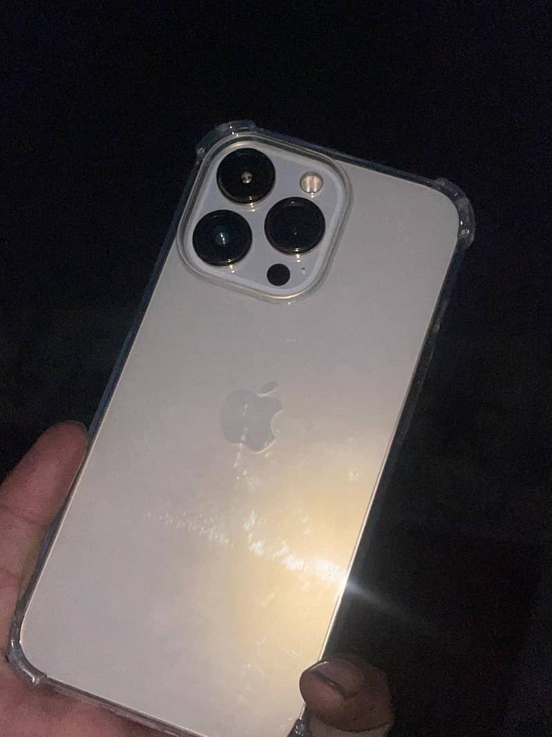 Apple iPhone 13 Pro 12