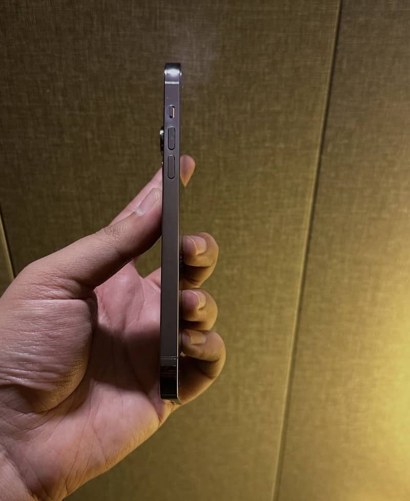Apple iPhone 14 Pro Max 2