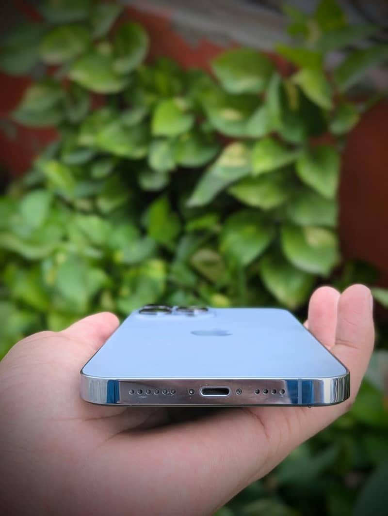 Apple iPhone 13 Pro Max 1