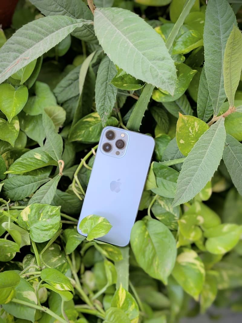 Apple iPhone 13 Pro Max 7