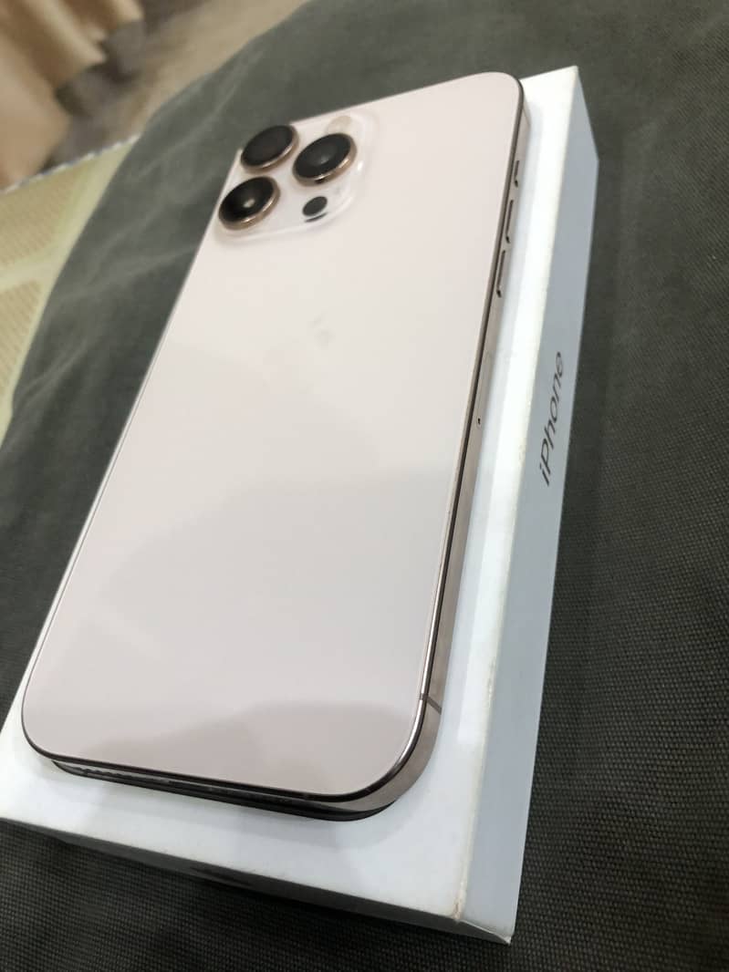 Apple iPhone 16 Pro Max 2