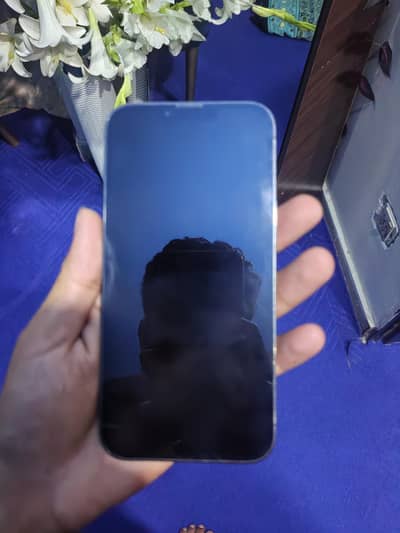 I phone 13 pro max