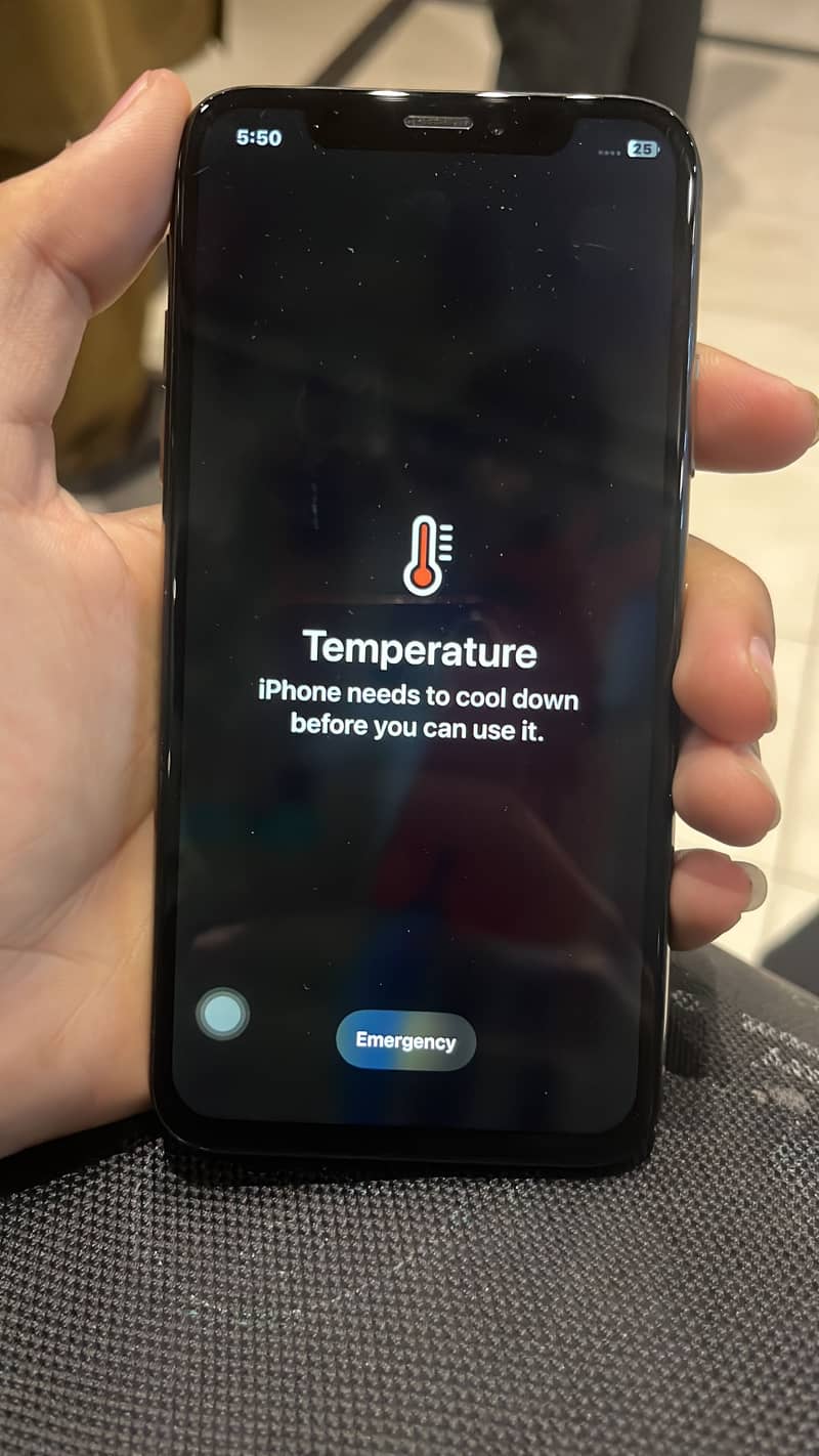 Apple iPhone XS 2