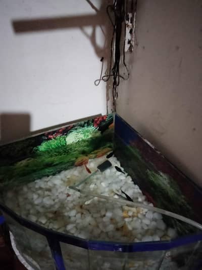 slice aquarium