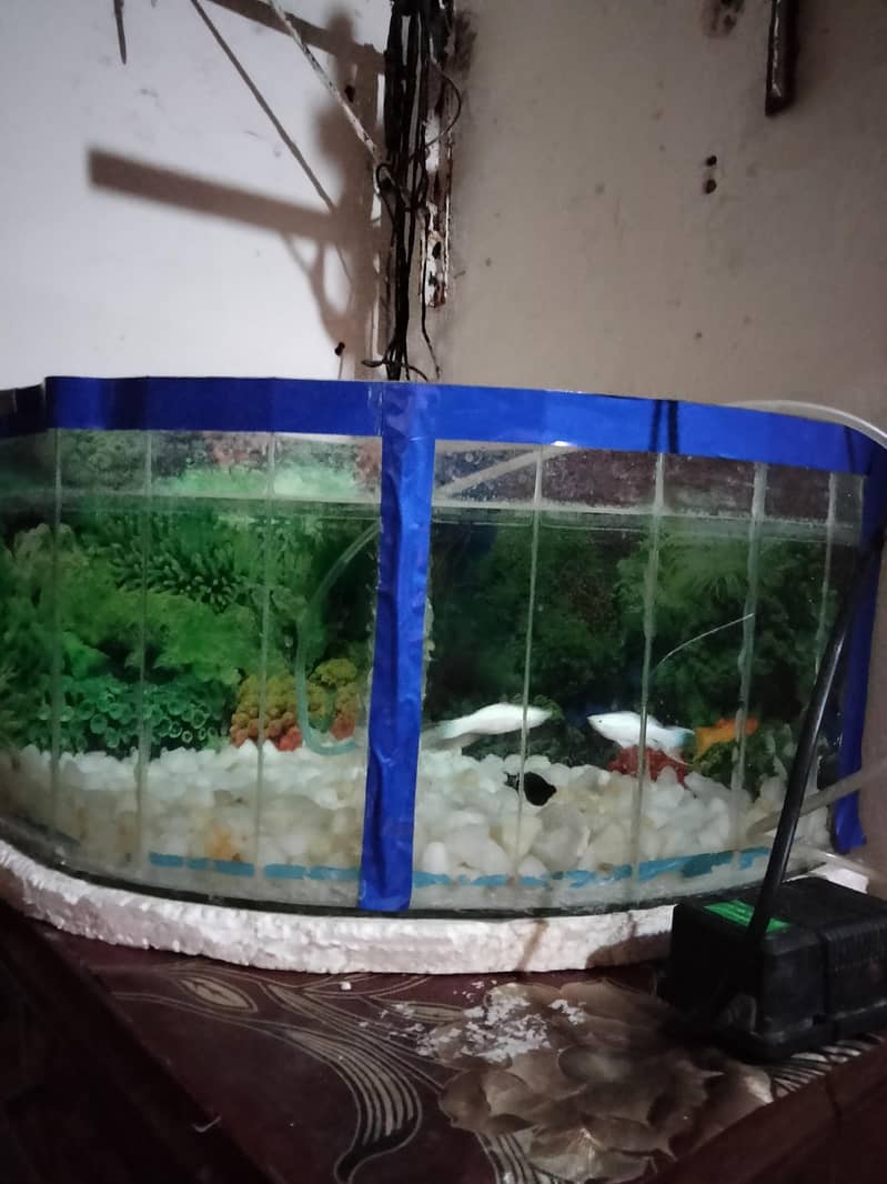 slice aquarium 1