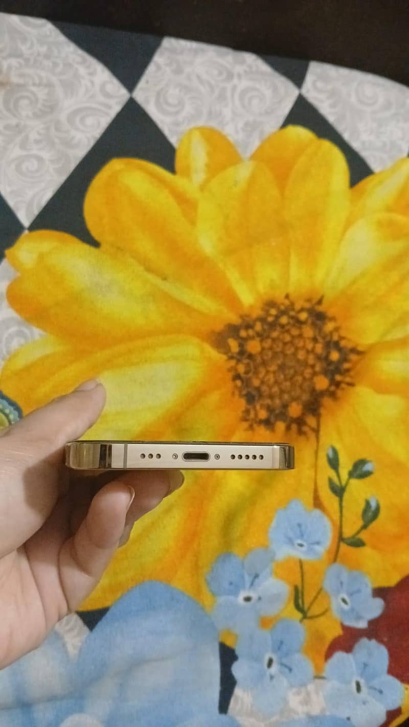 IPhone 13 pro 4