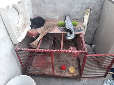 cat Cage pinjra for sale