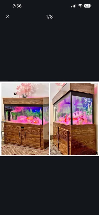 Fish aquarium for sale