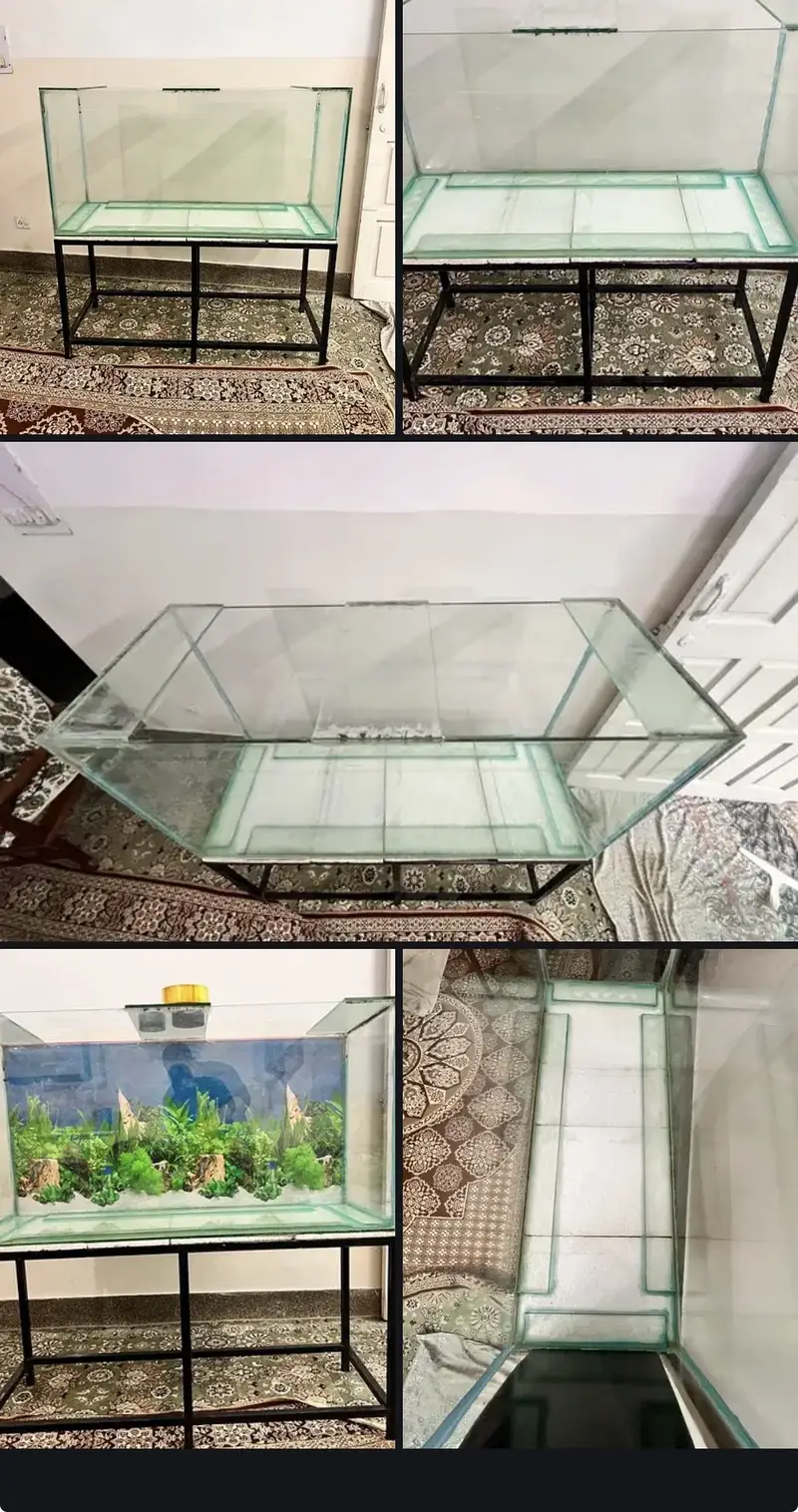 Fish aquarium for sale — photo 3