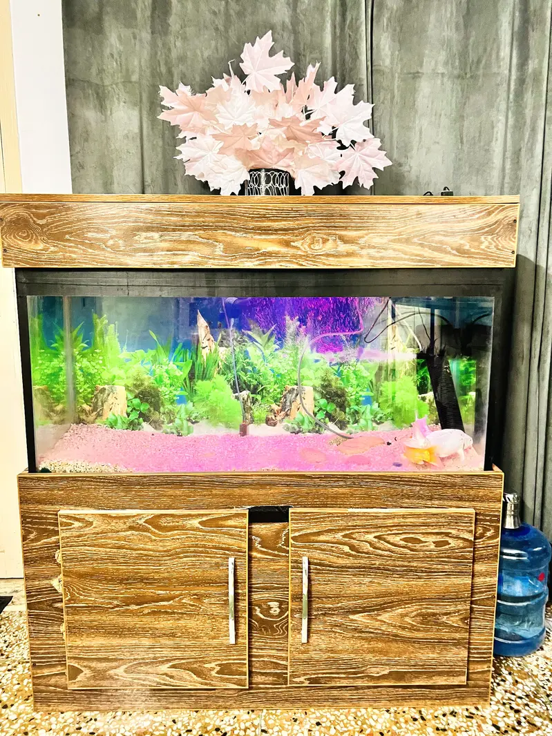Fish aquarium for sale — photo 4