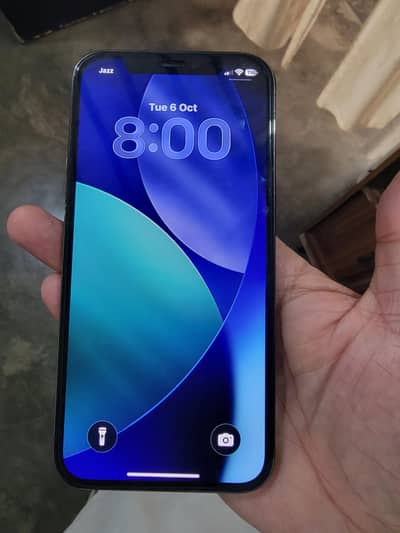 Apple iPhone 12 Pro