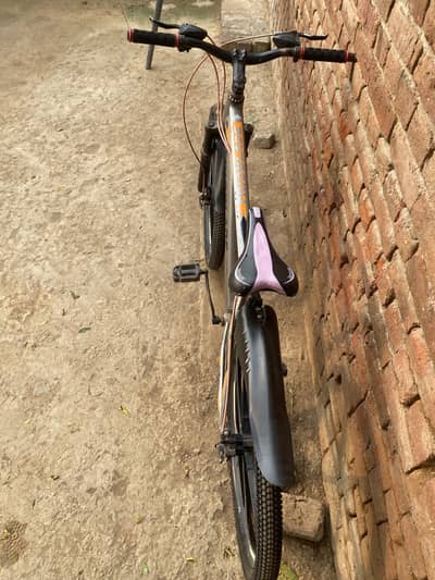 Cycle for sale