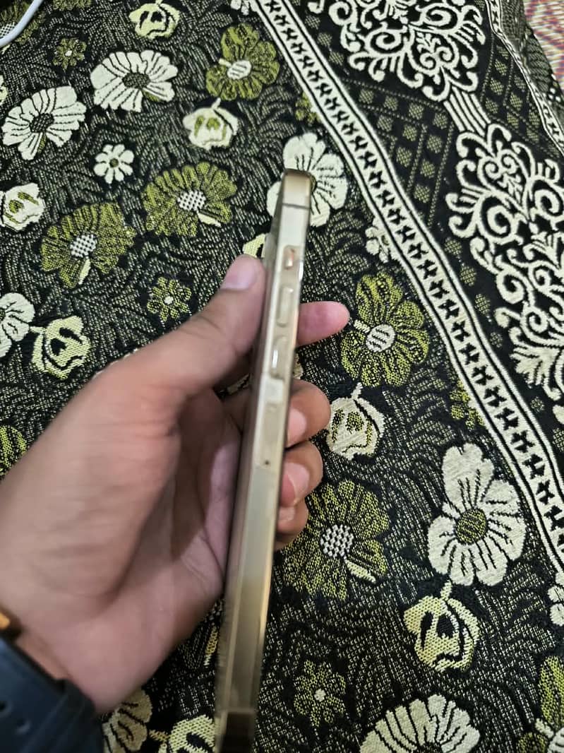 Apple iPhone 13 Pro Max 1