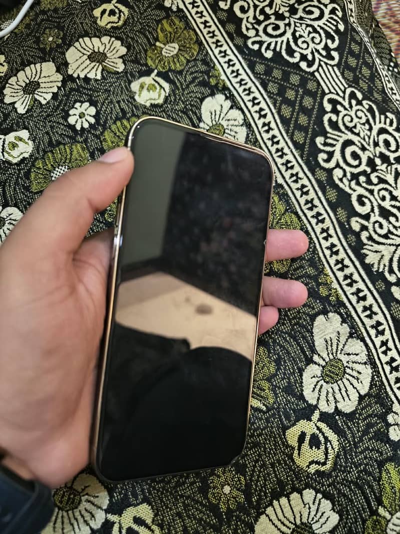 Apple iPhone 13 Pro Max 2