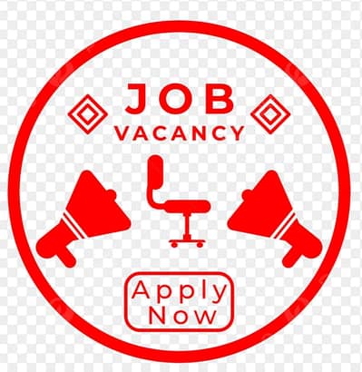 Government, private sector, abroad jobs and studys
