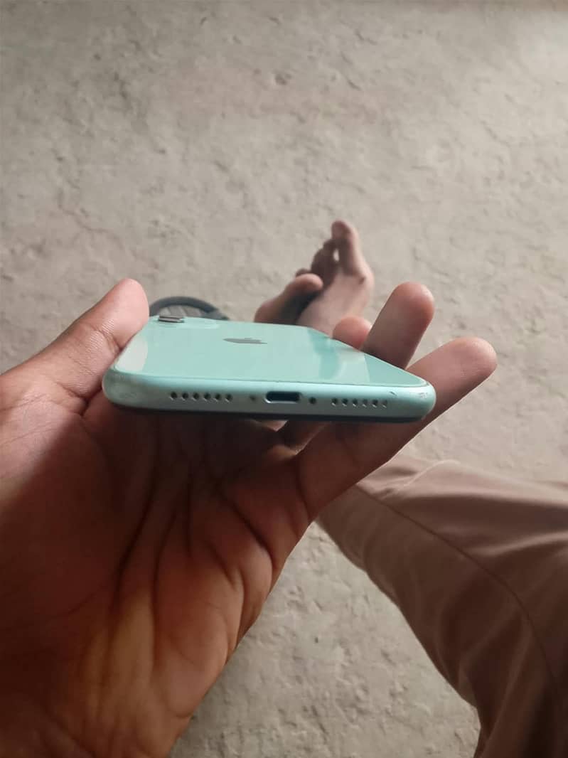 Apple iPhone 11 0