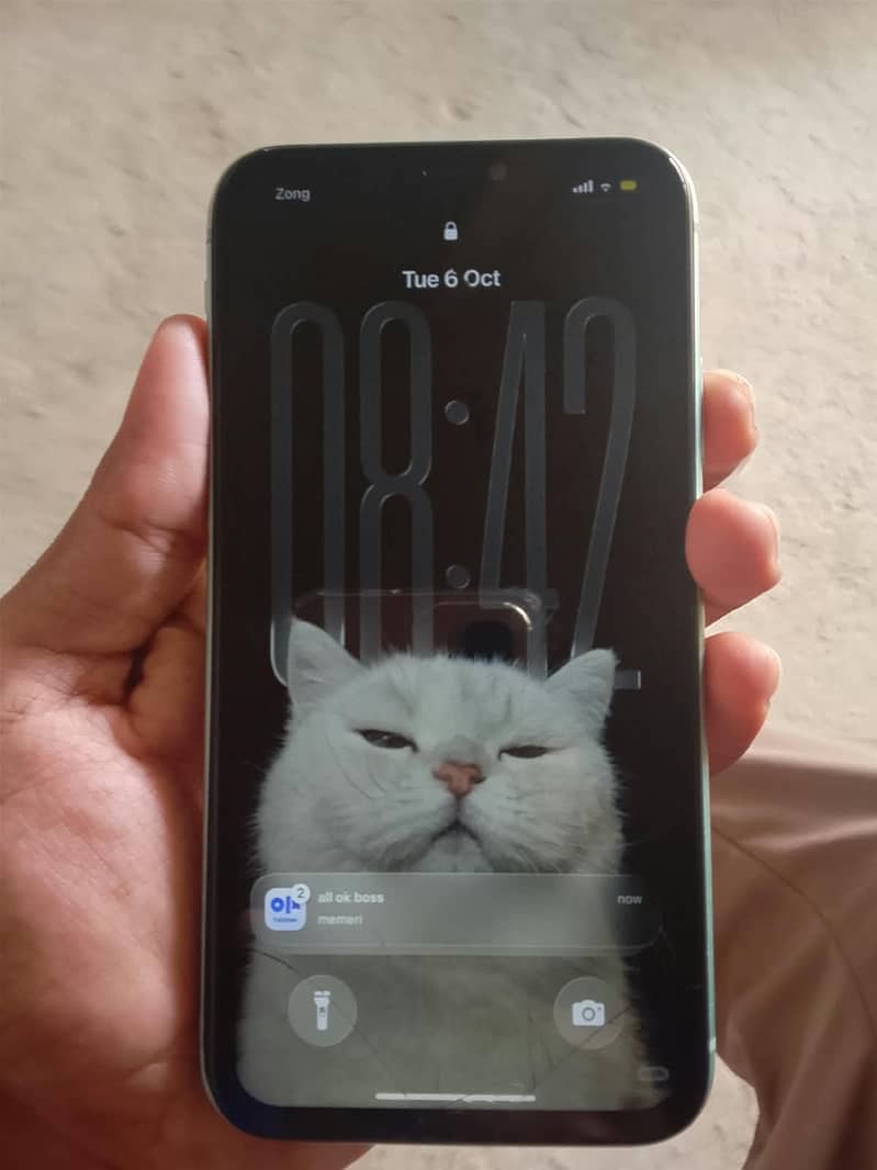 Apple iPhone 11 5