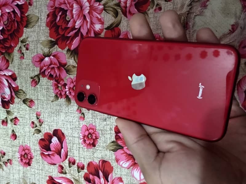 Apple iPhone 11 0