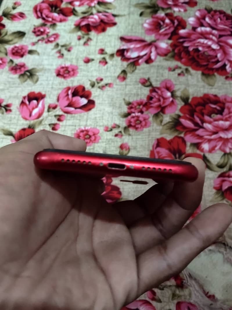 Apple iPhone 11 4