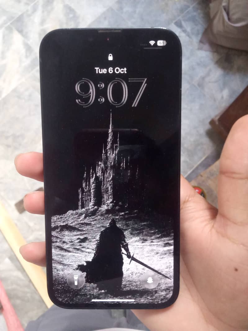 Apple iPhone 13 0