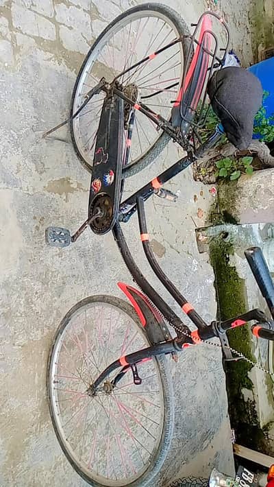 cycle sale