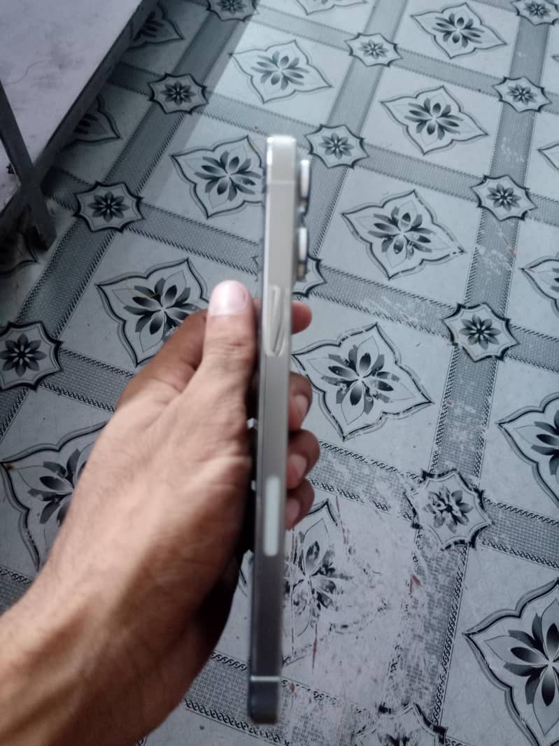 Apple iPhone 13 Pro Max 1