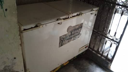 Pel deep freezer
