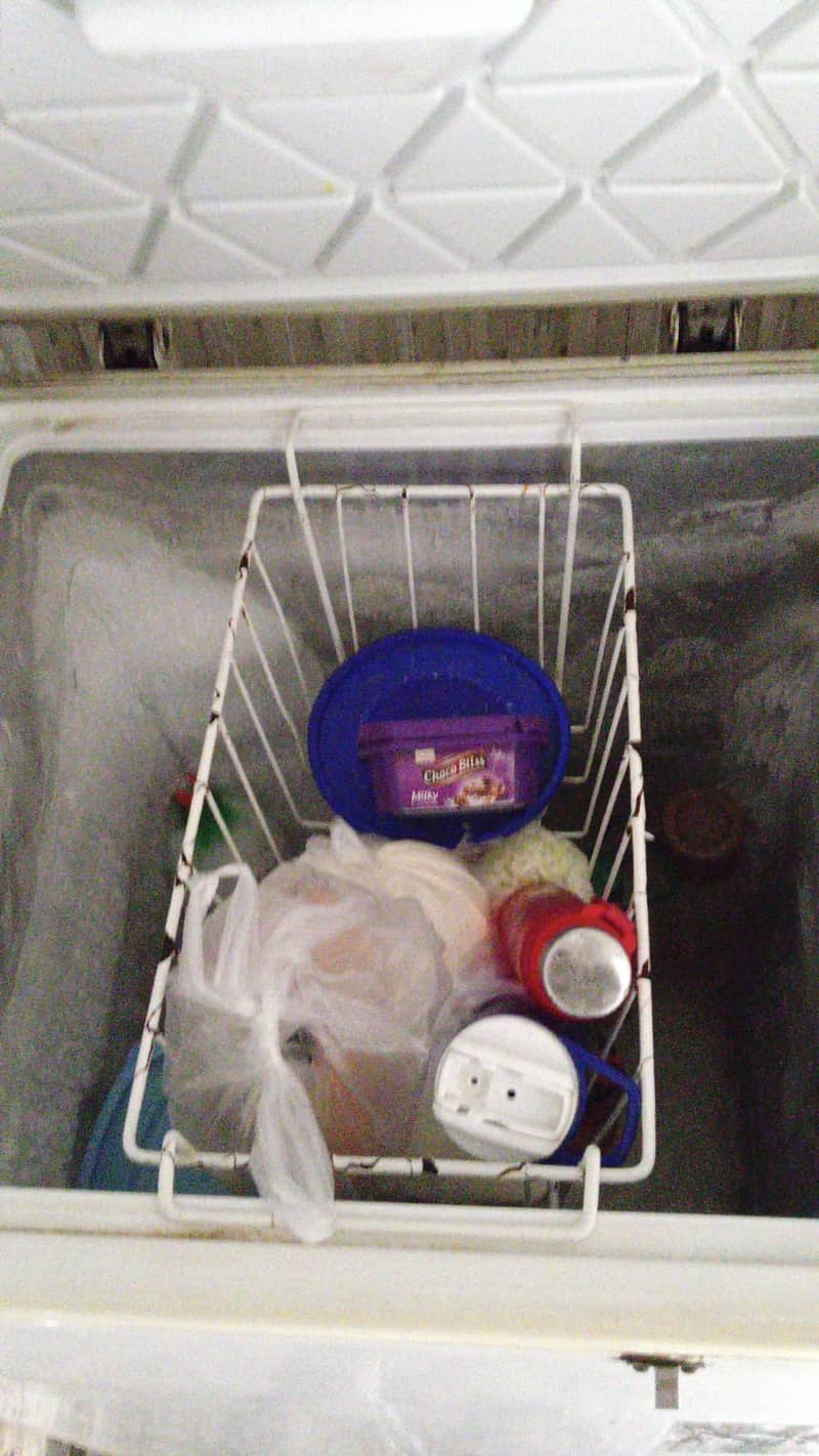 Pel deep freezer 2