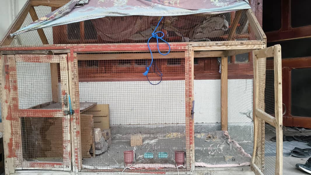Big Size Cage and chakor food 0