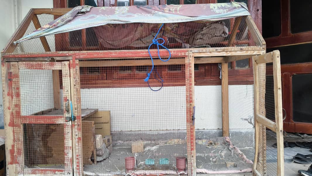 Big Size Cage and chakor food 1