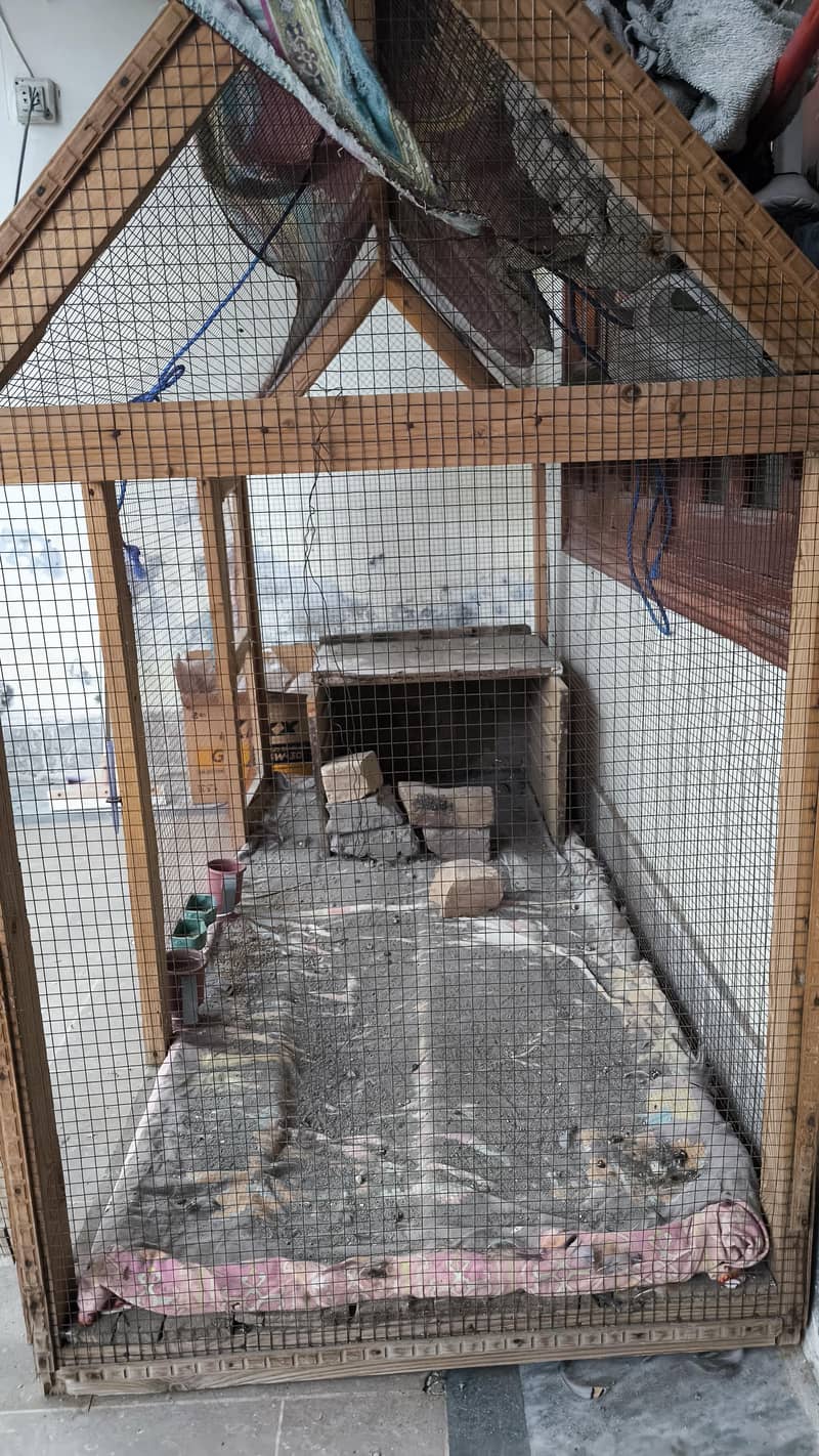 Big Size Cage and chakor food 2