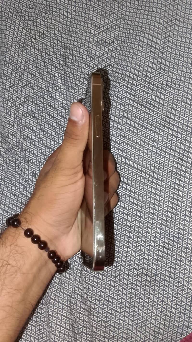 Apple iPhone 13 Pro Max 1